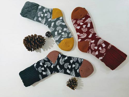 Kärpässieni for Lune d´eau