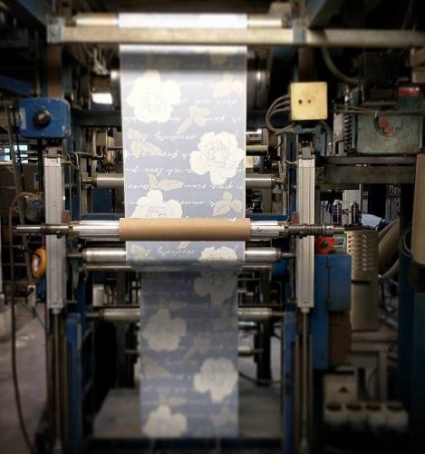 Rose colours for Sandudd